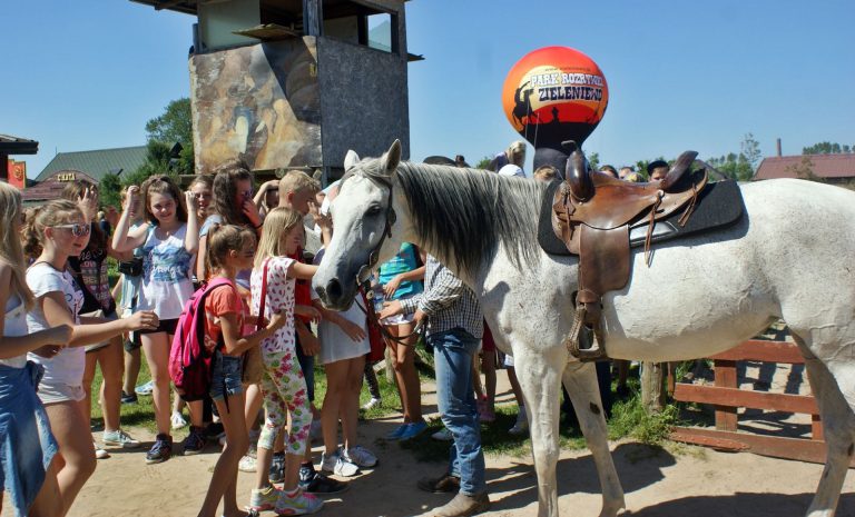 slider sg zieleniewo 004 1 768x465