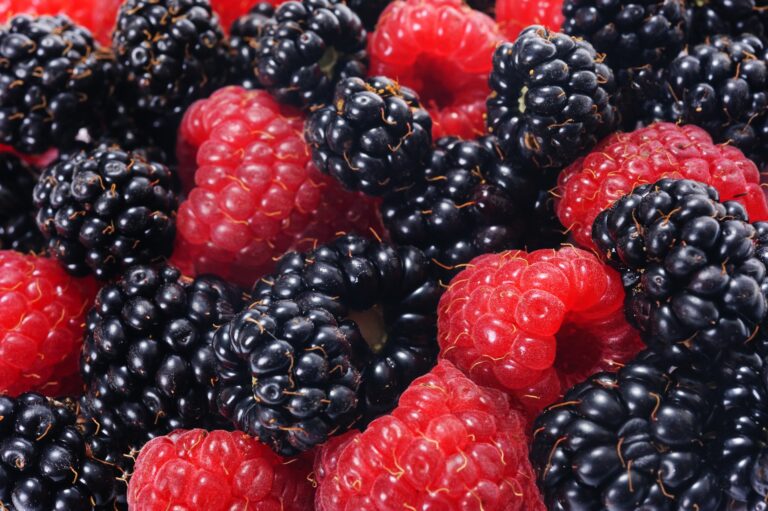 raspberries and blackberries 5001160 1920 768x511