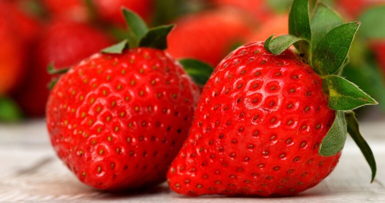 strawberries 3089148 1920 768x406